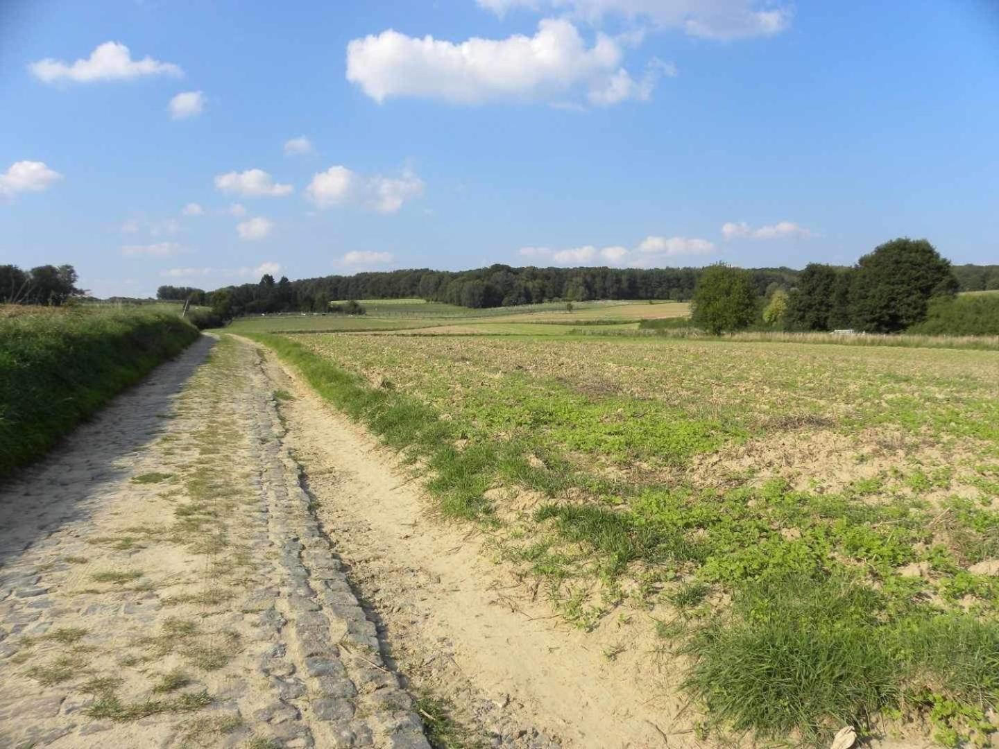 Meerbeek Unwind Kortenberg Eksteriør bilde
